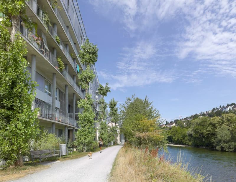 Wohnung, LIMMATWEST, 8005 Zürich