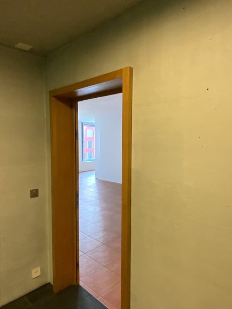 Loft für Wohnen und Arbeiten (5)