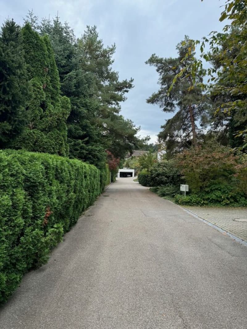 Grundstück mit 1'442m2 mit bestehendem EFH aus dem Jahr 1980 (6)