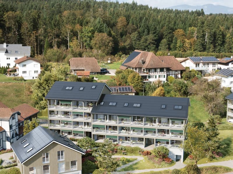 Wohnen wie im EFH: 1.5-Zi-Maisonette-Dachwohnung - Lärchenhof, Daheim in Vordemwald (5)