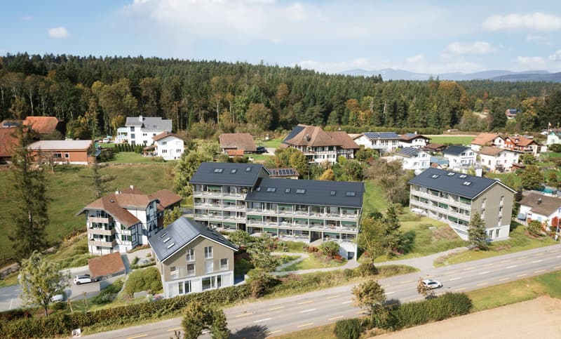 Wohnen wie im EFH: 1.5-Zi-Maisonette-Dachwohnung - Lärchenhof, Daheim in Vordemwald (1)
