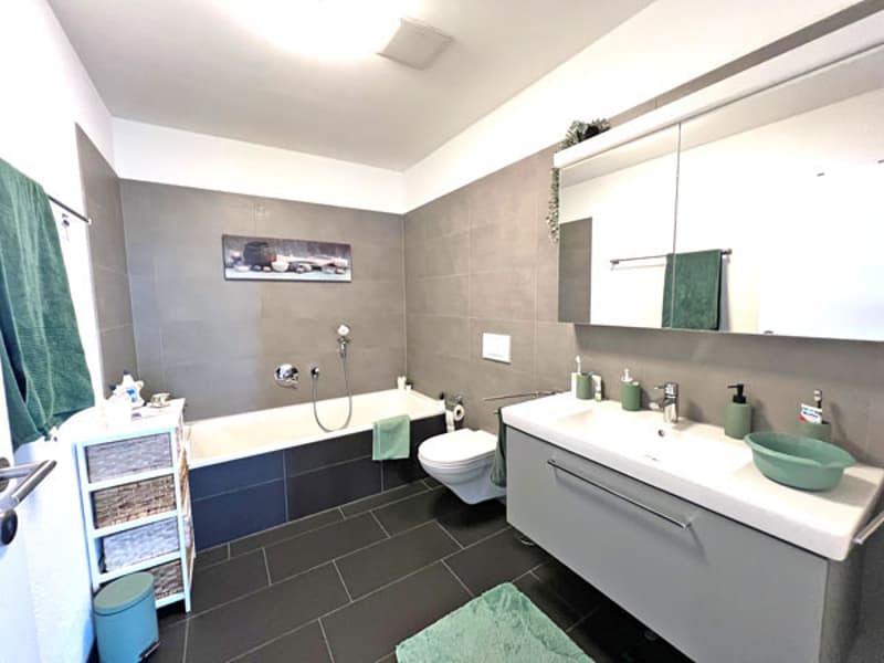 modern grey and blue bathroom, bathtub, shower, sink, toilet, shelves