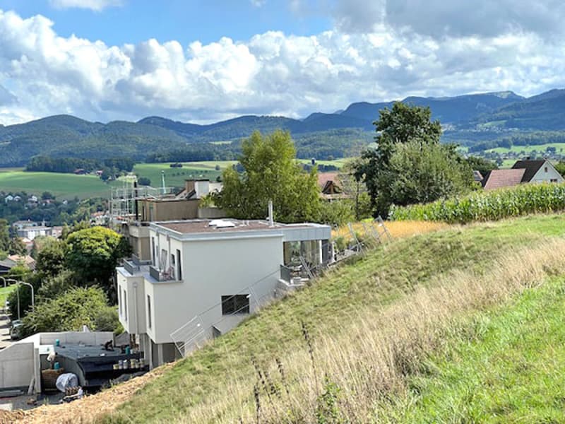 House on a raised ground floor, modern architecture, surrounded by trees, hills, and mountains