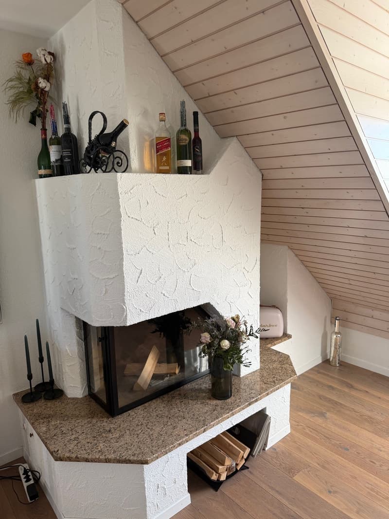Charmante 3.5-Zimmer-Dachwohnung mit toller Aussicht (6)