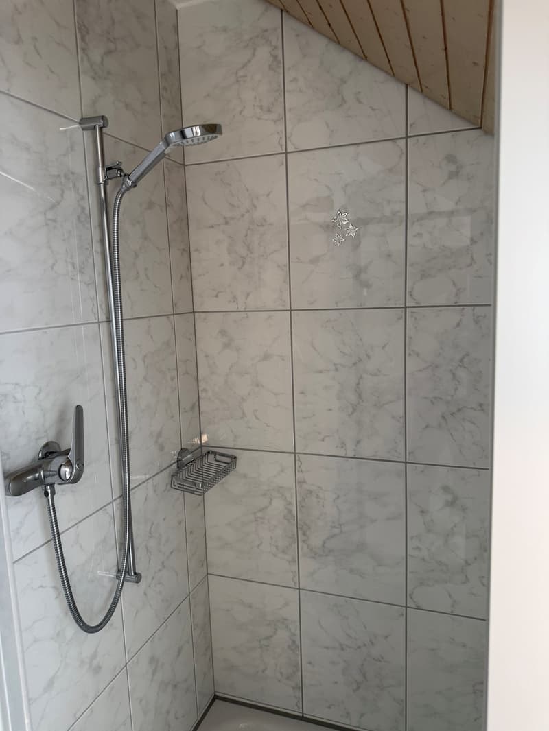 Charmante 3.5-Zimmer-Dachwohnung mit Panoramablick in Egg (ZH) (13)