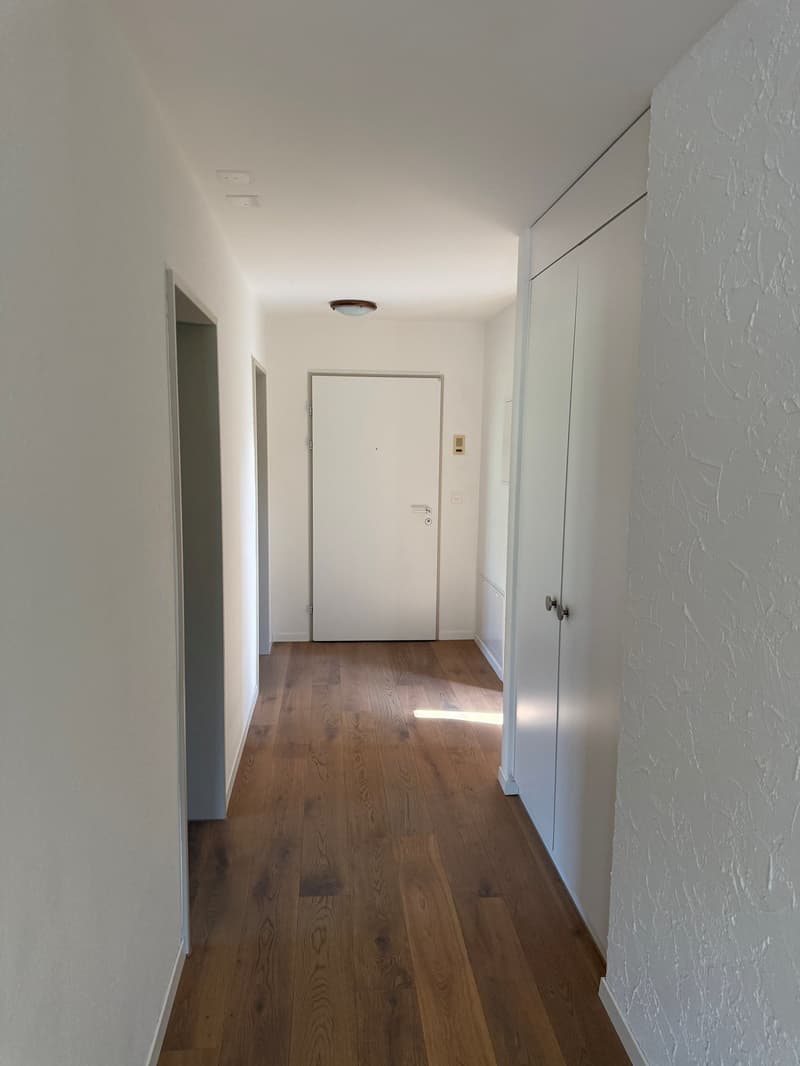 Charmante 3.5-Zimmer-Dachwohnung mit Panoramablick in Egg (ZH) (11)