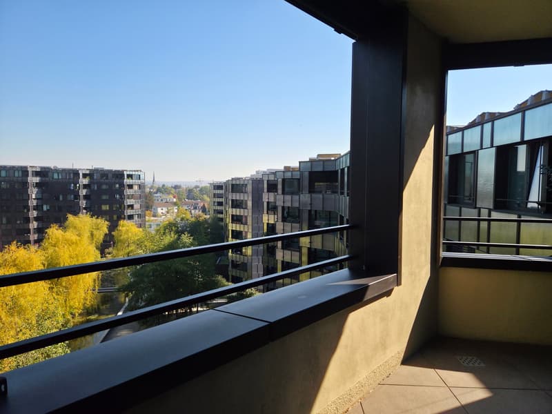 Moderne 2.5-Zimmer-Traumwohnung mit Aussicht (2)