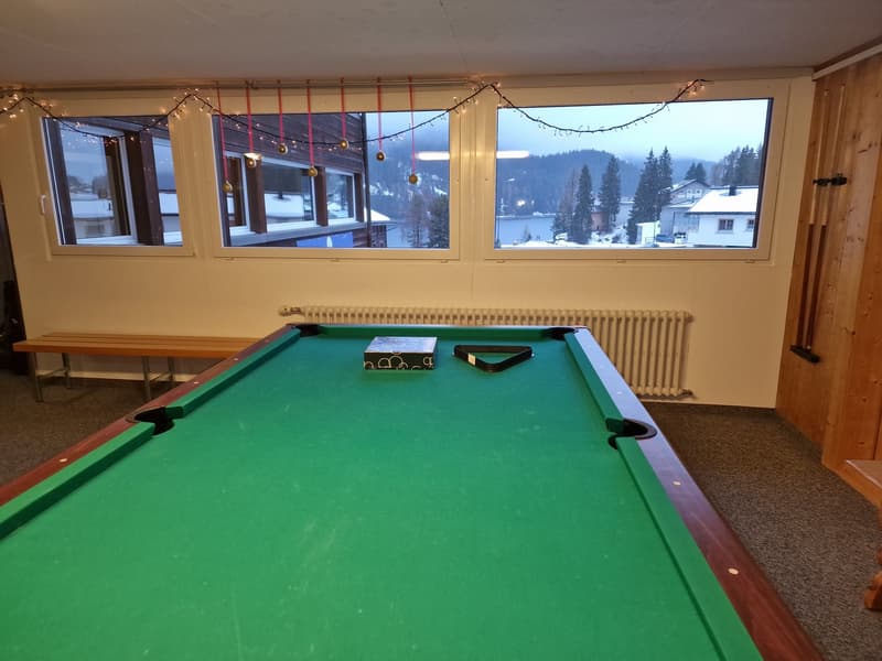 Green pool table, wooden bench, radiator, wooden door, windows with view
