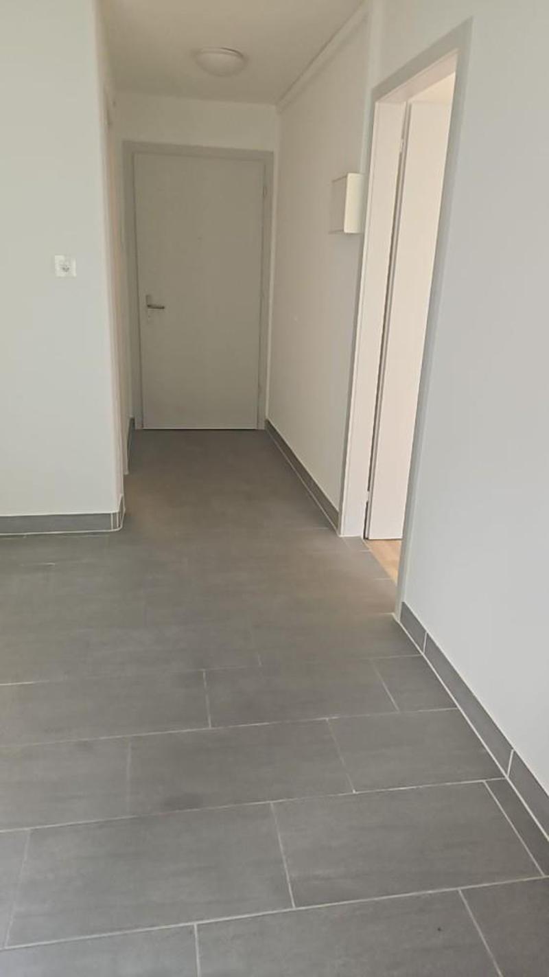 neu 11