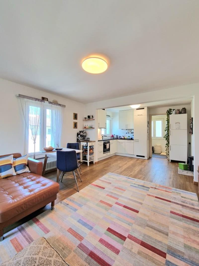 Wohnzimmer / Küche