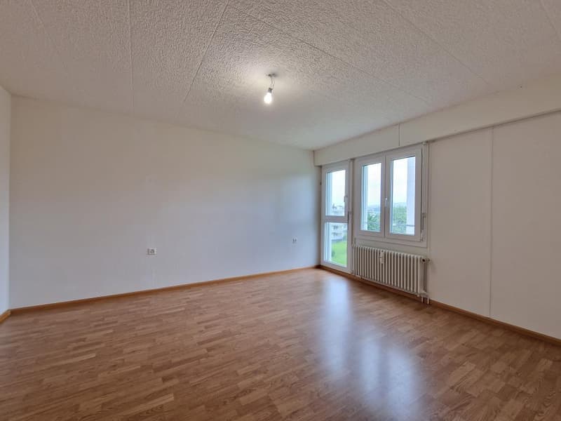 zimmer 2