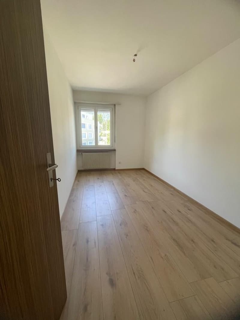 neu 13