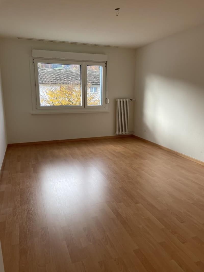 Zimmer1
