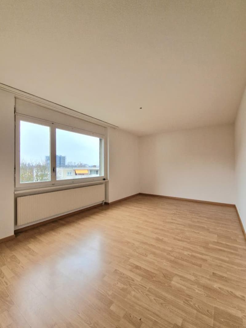 Zimmer2