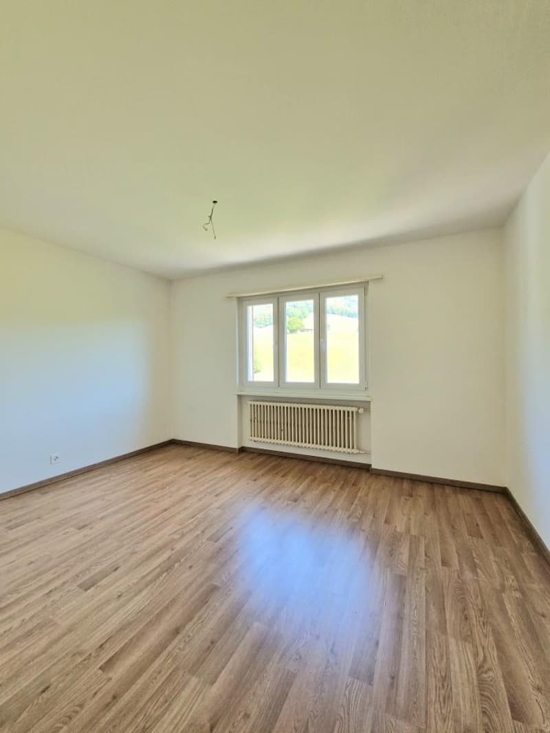 Neu 11