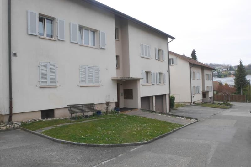 HAus
