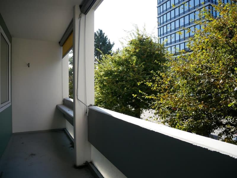 Fotos 12