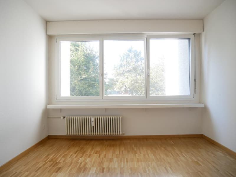 Fotos 11