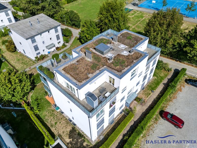 Repräsentative 5½-Zimmer-Attikawohnung mit 144 m² Terrasse und Alpenblick (6)