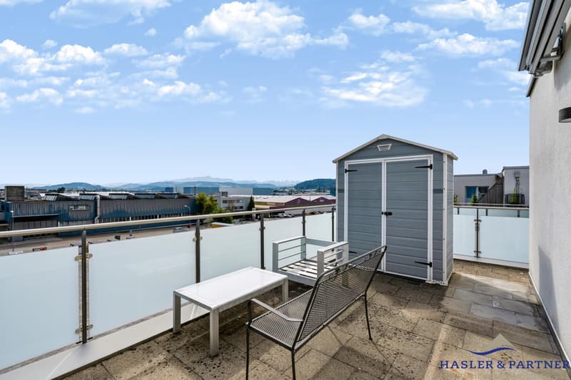 Repräsentative 5½-Zimmer-Attikawohnung mit 144 m² Terrasse und Alpenblick (3)