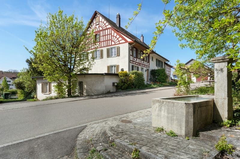 Charmantes Doppeleinfamilienhaus mit grossem Garten und viel Potential an ruhiger Lage (2)