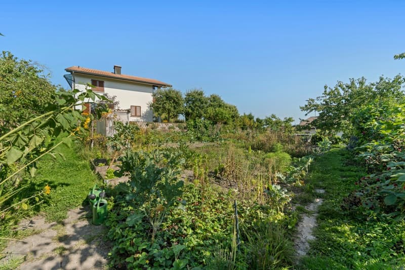 Grosser Garten