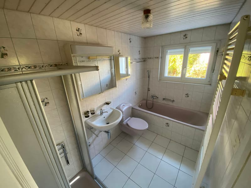 Freistehendes, teilsaniertes Einfamilienhaus mit grossem Umschwung (4)