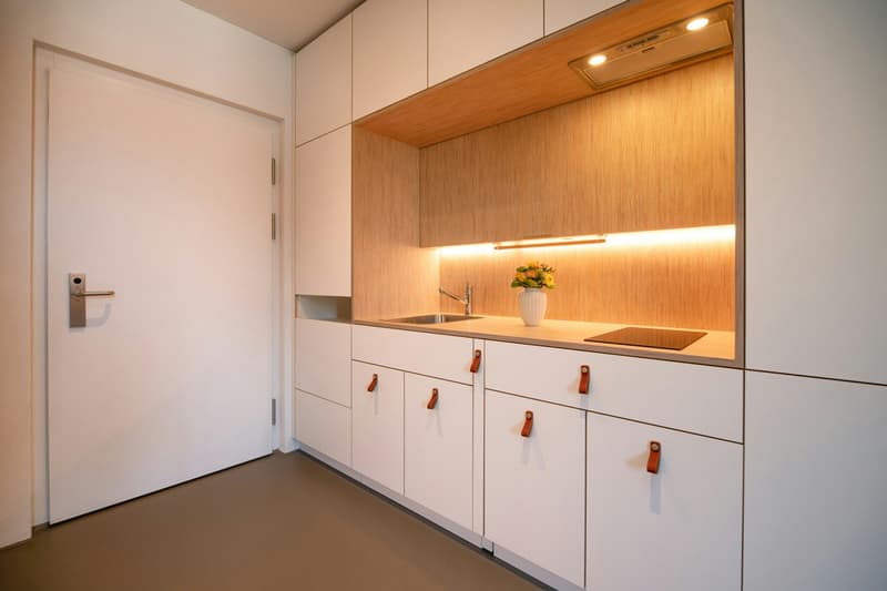 Die etwas andere, möblierte 1.5 Zimmer-Wohnung an der Wülflingerstrasse 114 in Wintertrhur (3)