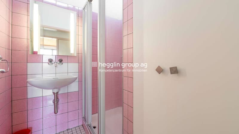 Nasszelle mit Dusche EG