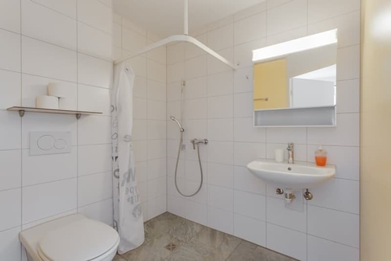 white tiled walls, white sink, shower, toilet, mirror, shower curtain