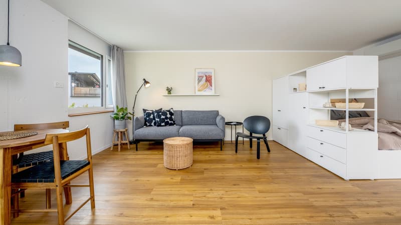 App 4 / Moderne 1-Zimmer-Wohnung in Luzern zu vermieten (2)