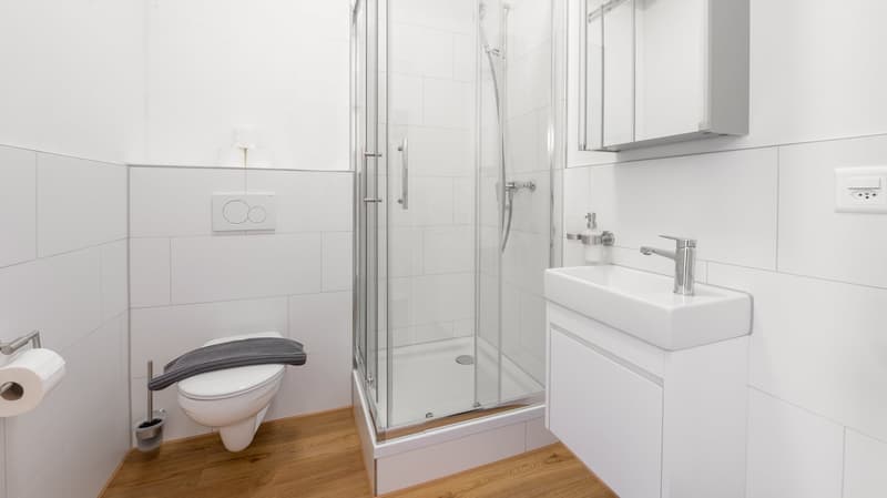 Z 1 / WG Zimmer in Emmen (9)