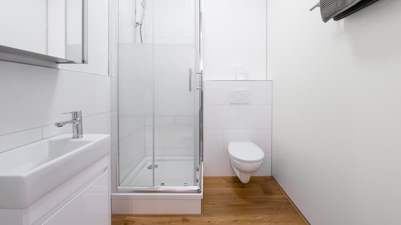 Z 1 / WG Zimmer in Emmen (8)