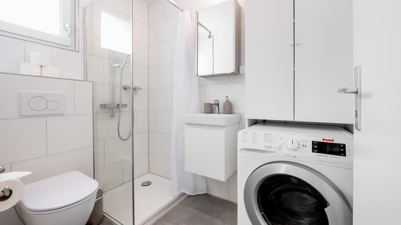 App 2101 / Moderne 1-Zimmer-Wohnung in Luzern zu vermieten (7)