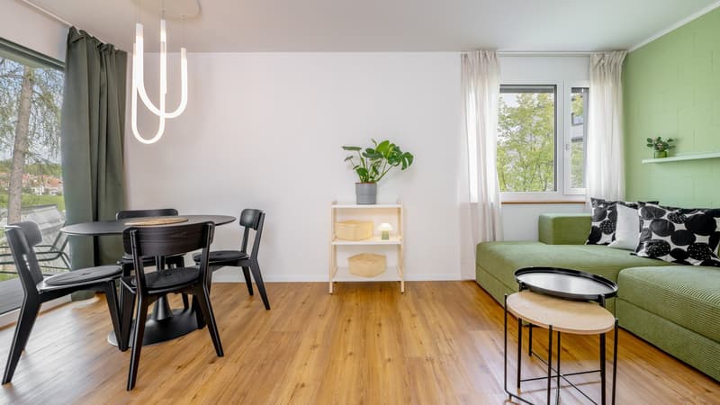 App 2101 / Moderne 1-Zimmer-Wohnung in Luzern zu vermieten (3)