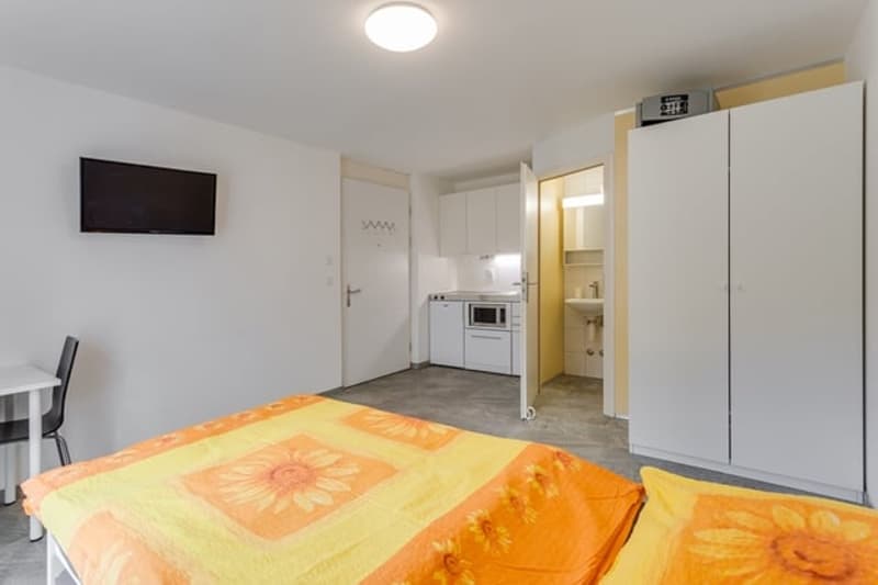 Z 308 / Vollausgerüstetes, möbliertes Apartment mit TV / Internet (4)