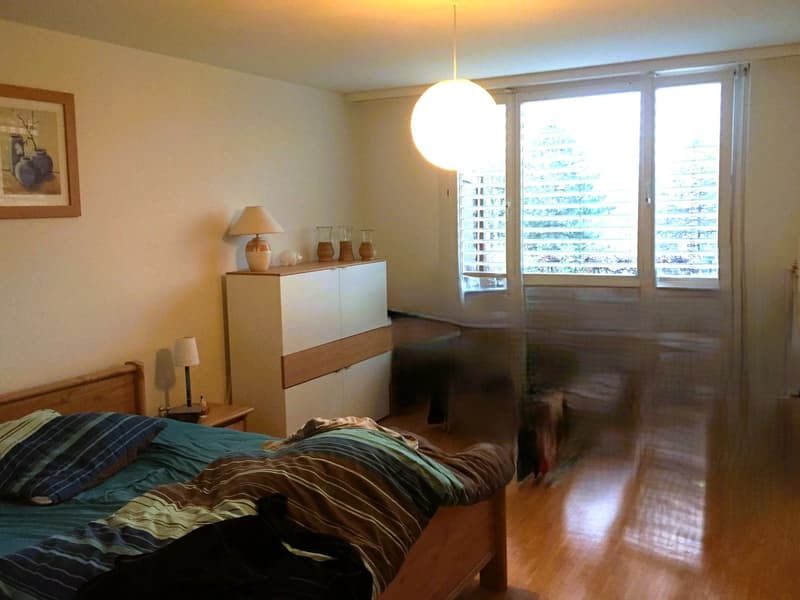 Charmante 2.5-Zimmer-Wohnung mit Sitzplatz in Zürich Hottingen (4)
