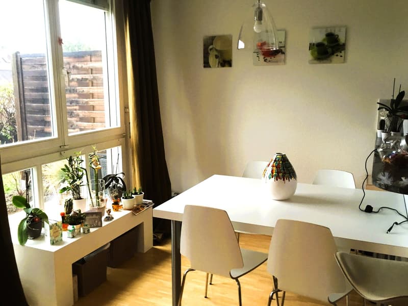 Charmante 2.5-Zimmer-Wohnung mit Sitzplatz in Zürich Hottingen (3)