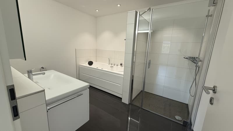 Bad, Dusche, WC, Lavabo