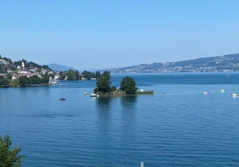 Aussicht auf Zürichsee