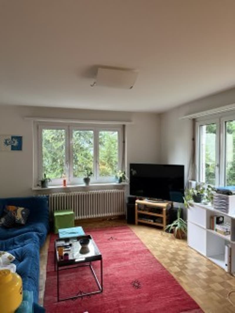 befristetes Wohnen in Zürich-Wollishofen (3)