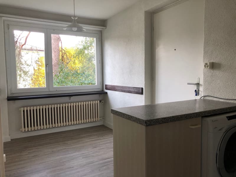 Per 01.12.2026 vermieten wir eine 4.5-Zimmerwohnung 1.OG (5)