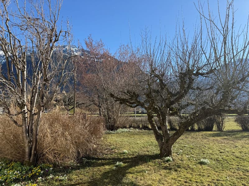 LIEGENSCHAFT mit Neu- oder Ausbaupotenzial in Interlaken (22)