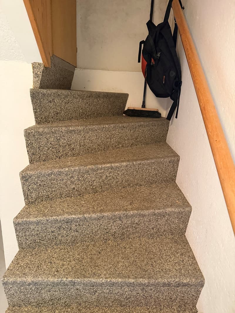 LIEGENSCHAFT mit Neu- oder Ausbaupotenzial in Interlaken (21)