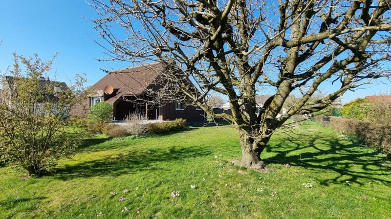 Familienoase mit grossem Garten (3)