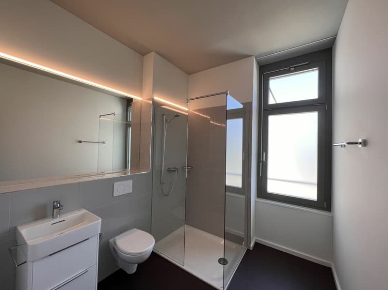 Elegantes Loft in bester Zentrumslage (4)