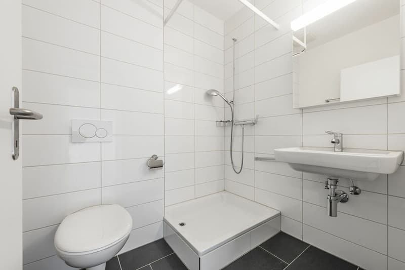 Atemraubende Wohnung in hoher Lage (10)