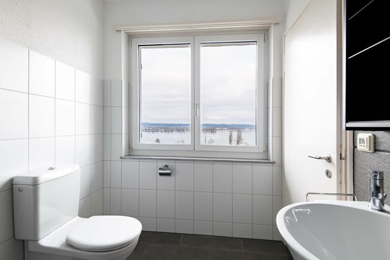 Ihr Logenplatz am Untersee (15)