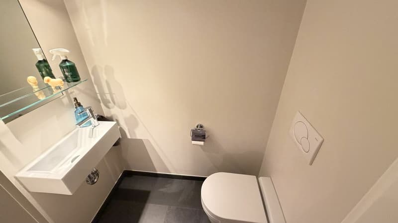 Stilvolles Wohnen mit Weitblick (9)