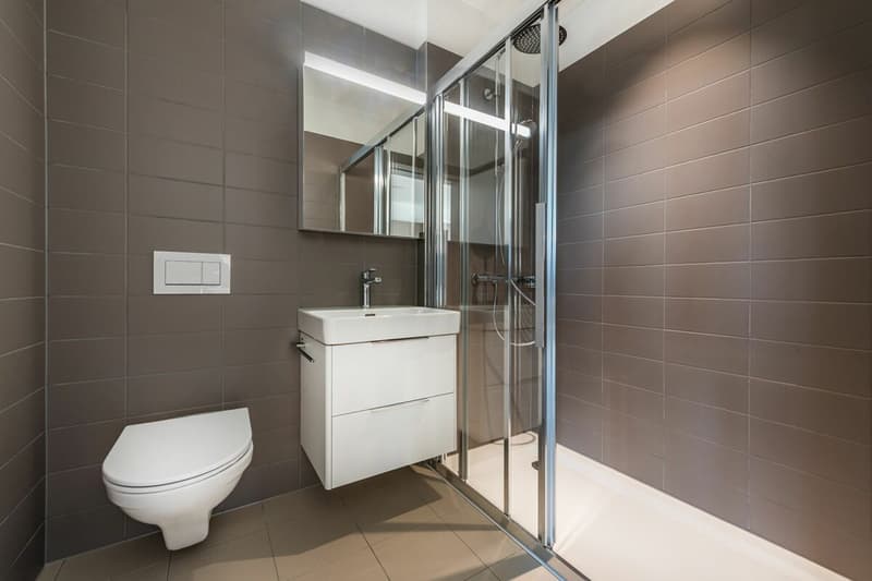 Moderne 2½ Zimmer Wohnung (8)